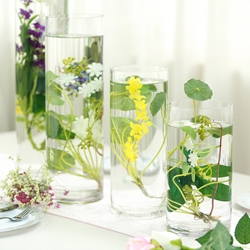 Vases